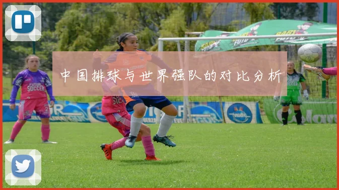 中国排球与世界强队的对比分析