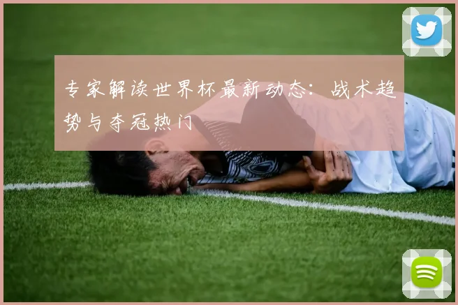 专家解读世界杯最新动态:战术趋势与夺冠热门