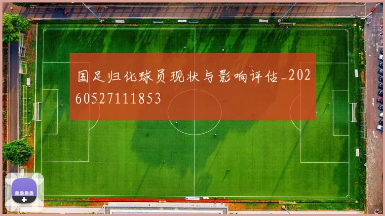 国足归化球员现状与影响评估_20260527111853